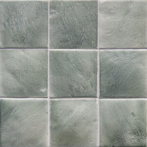 Bonsai <em>Leather</em>