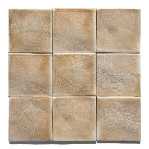 Desert <em>Leather</em>
