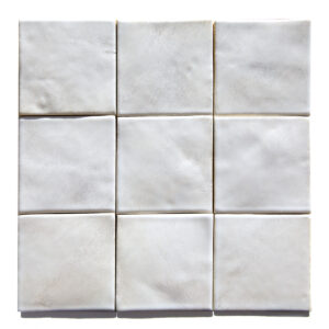 Porcini <em>Leather</em>