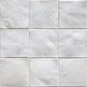 Porcini <em>Leather</em>